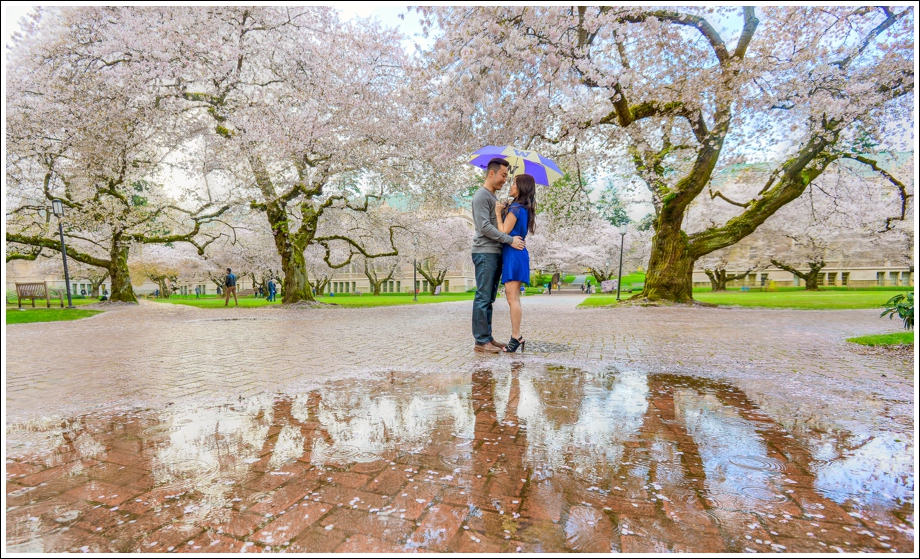 UW Cherry Blossoms Engagement Session-08