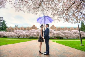 engagement photo at UW Quad with cherry blossoms