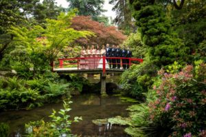 Asian wedding party on Japanese bridge at Kubota Garden near Seattle