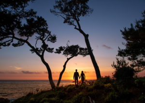Couple in silhouette holding hands looking at sunset from a shore