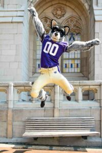 Harry the Husky at University of Washington