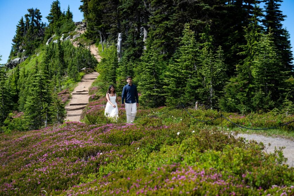 Nicely dressed couple walking on trail between wildflowers at mt. rainier